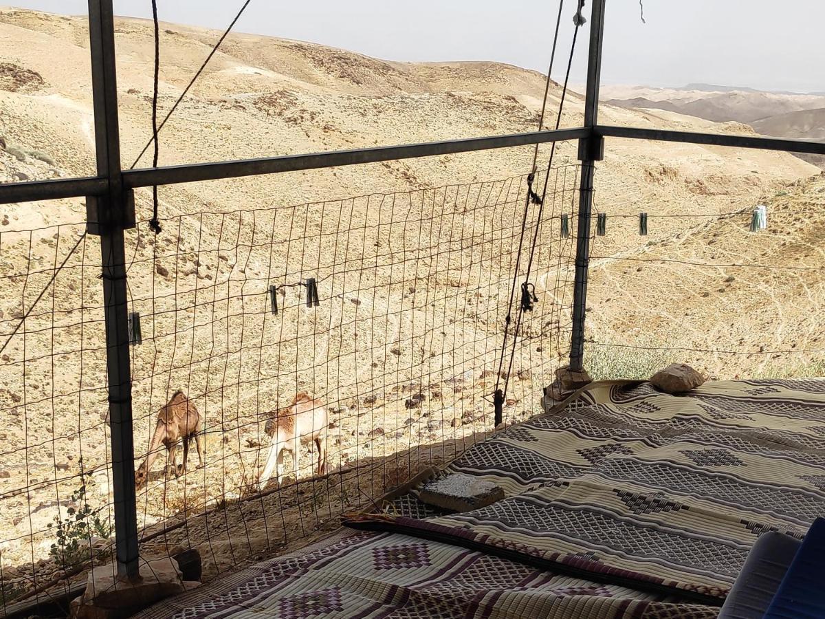 Dead Sea Desert'S Edge 阿拉德 外观 照片