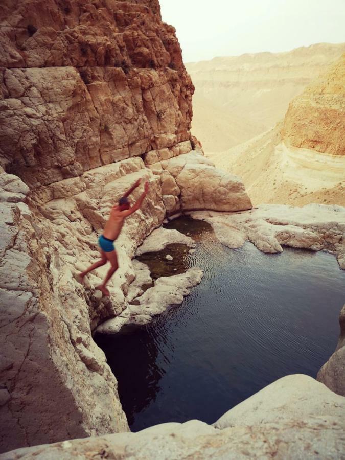 Dead Sea Desert'S Edge 阿拉德 外观 照片
