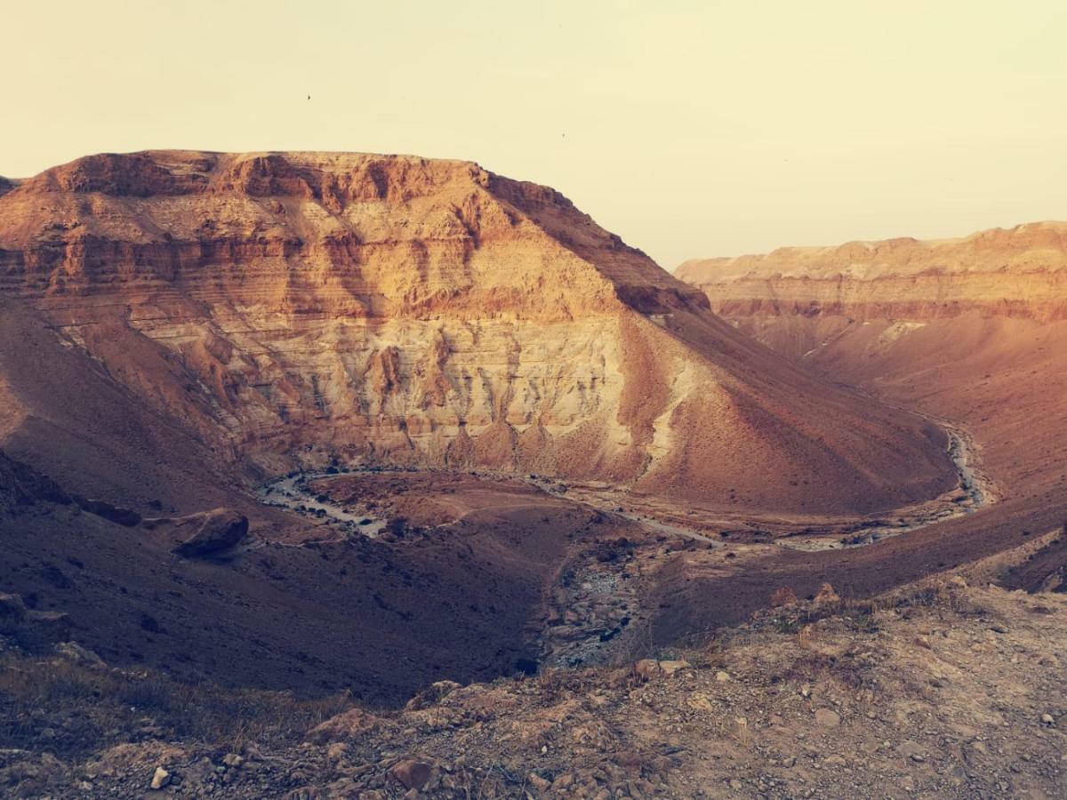 Dead Sea Desert'S Edge 阿拉德 外观 照片